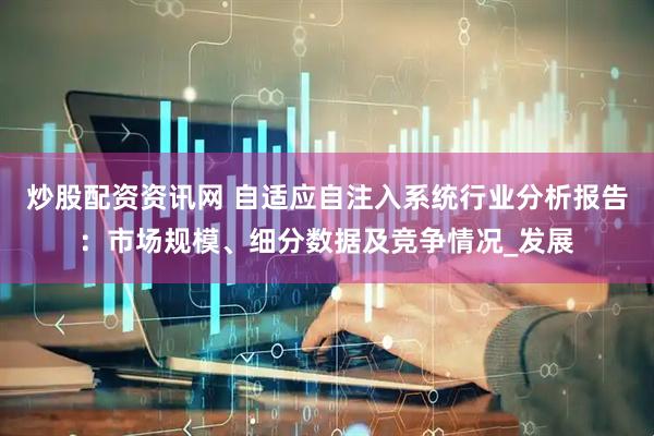 炒股配资资讯网 自适应自注入系统行业分析报告：市场规模、细分数据及竞争情况_发展