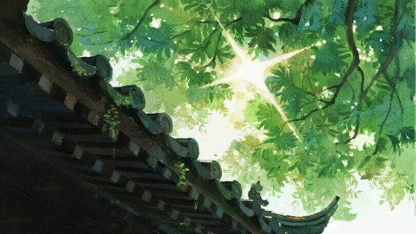 配资之家网站 三伏天“晒背”受追捧 专家提醒这样晒更科学