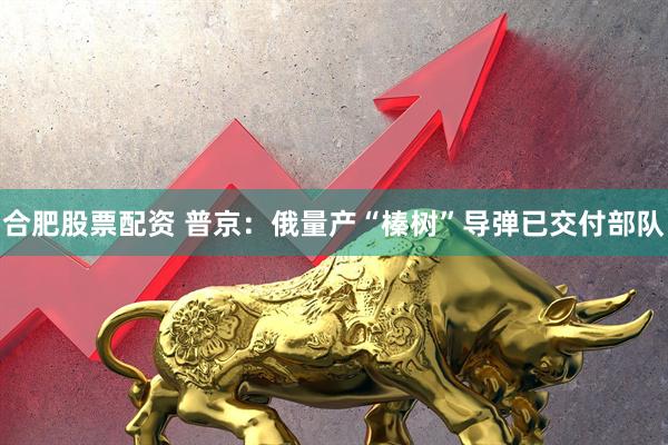 合肥股票配资 普京：俄量产“榛树”导弹已交付部队